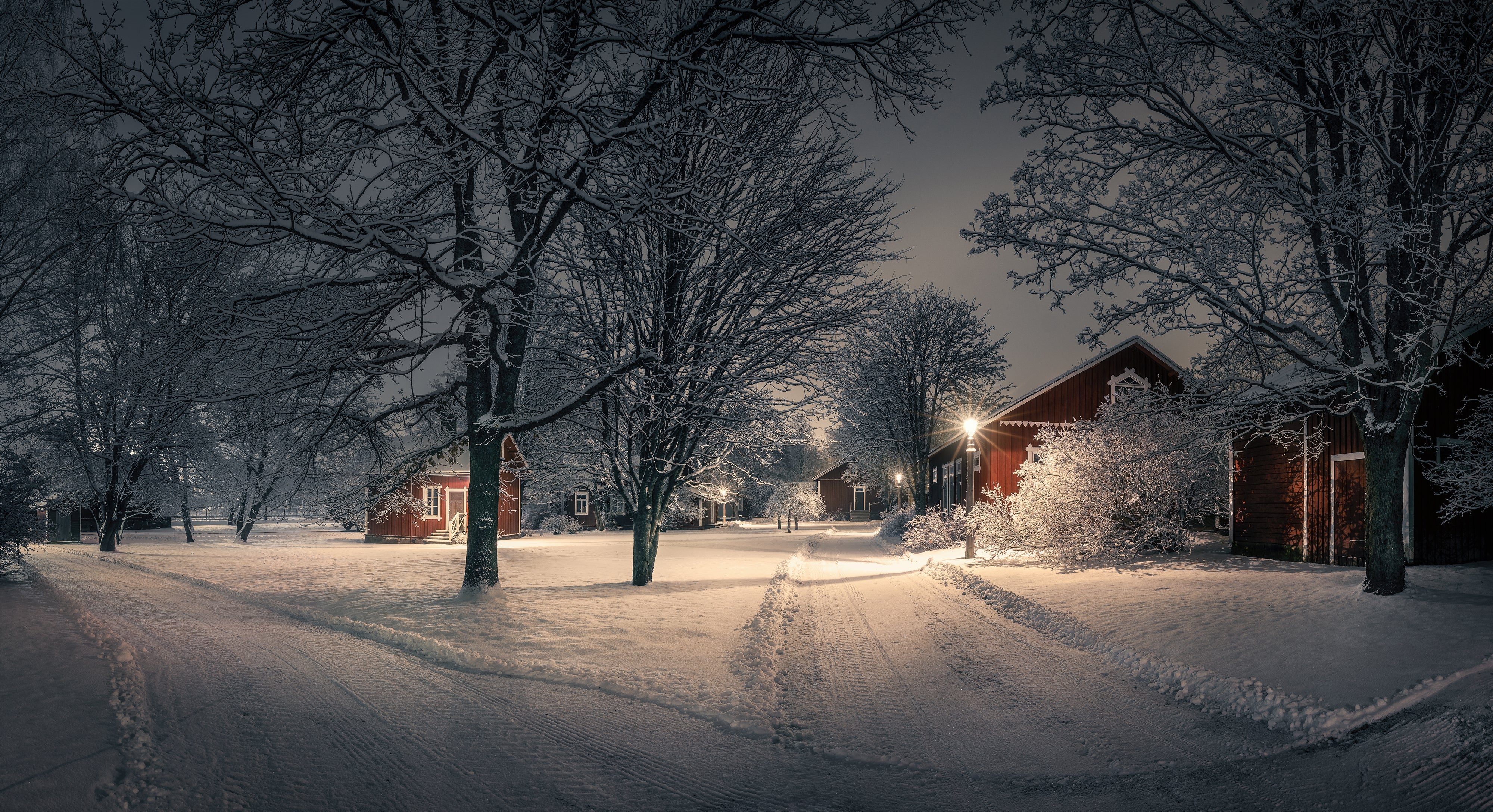 Christmas scene at night