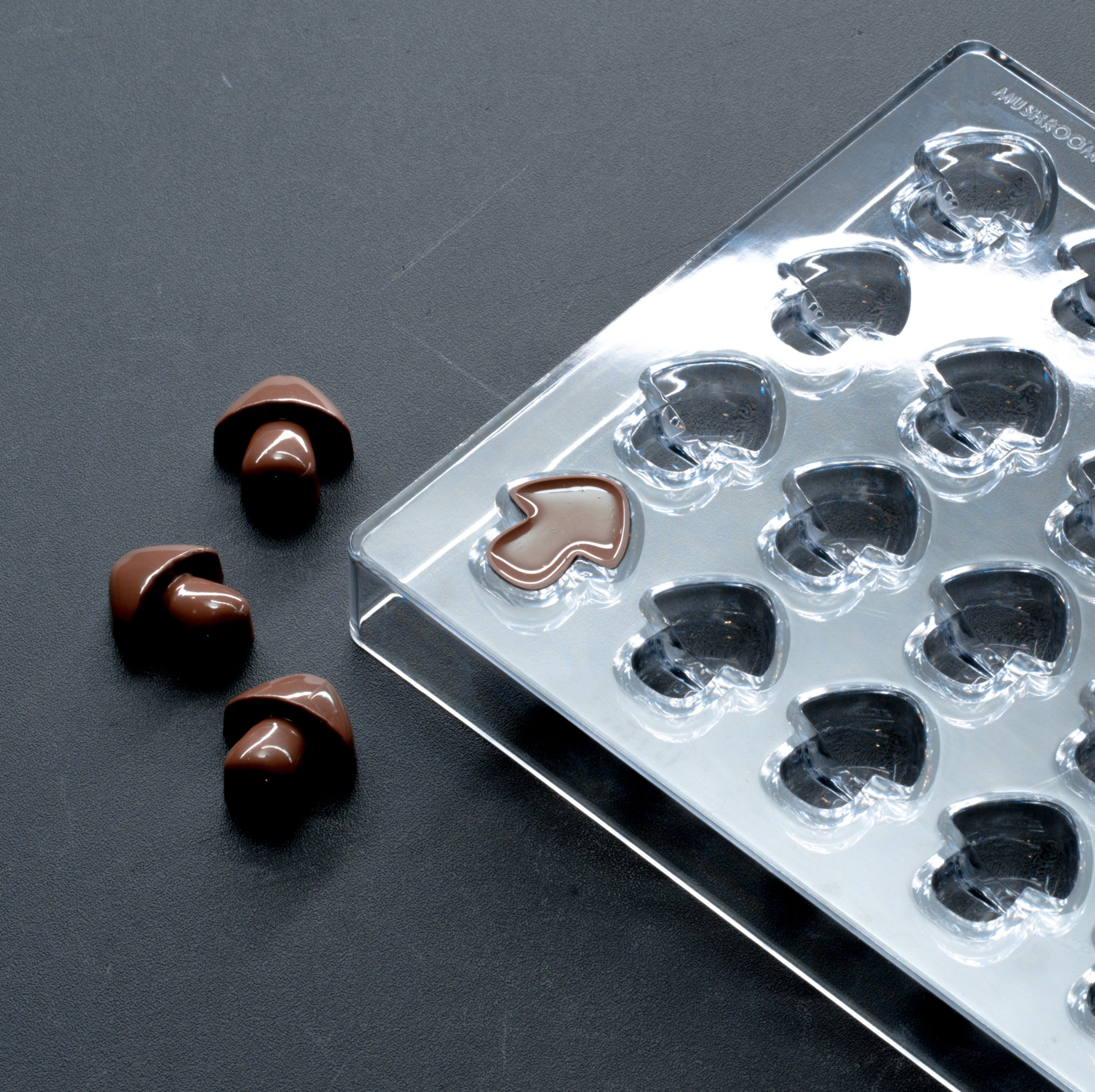 Bold Maker 50ml Mushroom Chocolate Bar Polycarbonate Mold - 15 Pieces - 4 Cavities - PMUL2