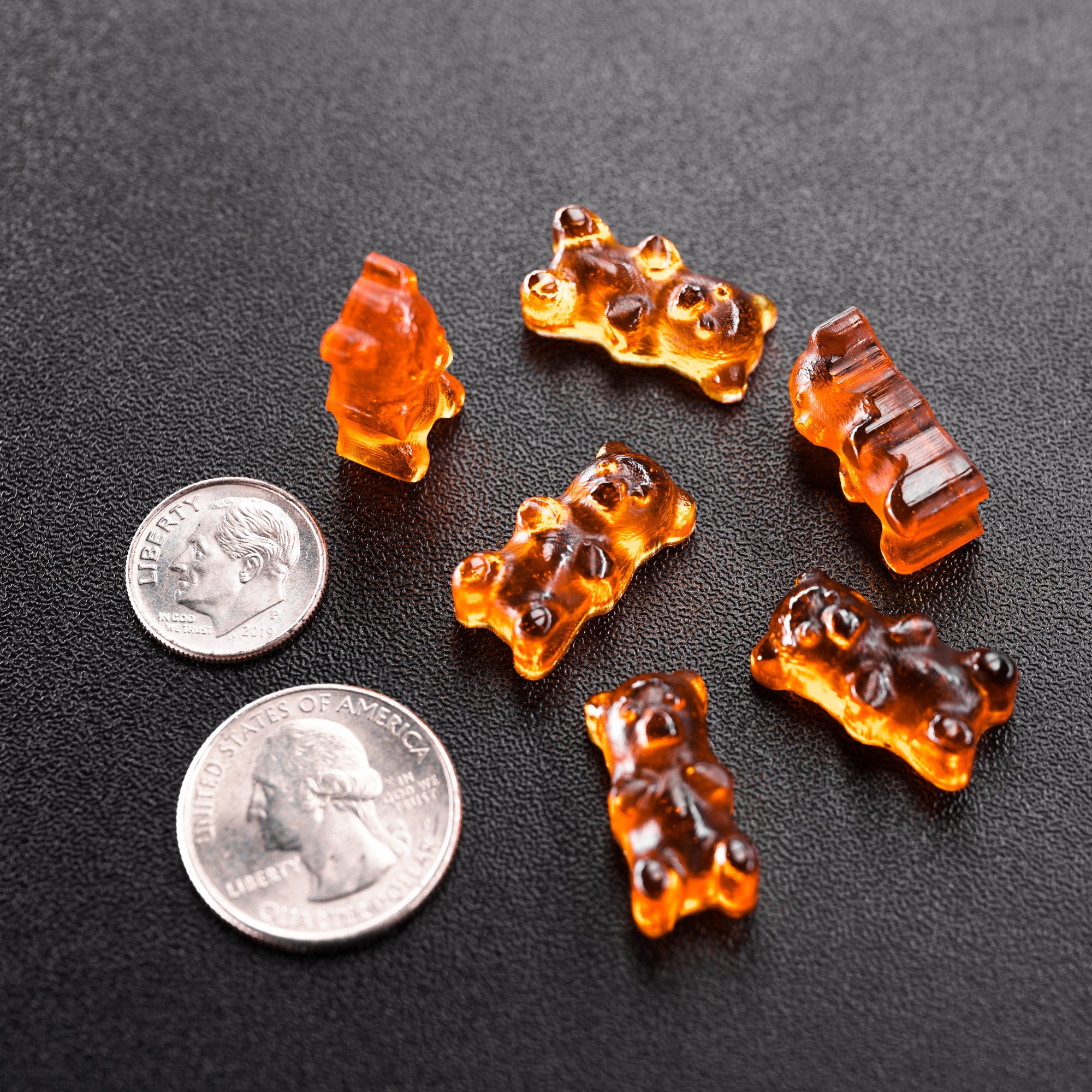 1.5mL Gummy Bear Full Sheet Candy Mold - 585 Cavities - 23219
