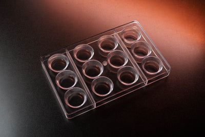 18.52mL Peanut Butter Cup Chocolate Mold - 12 Cavities - 23557