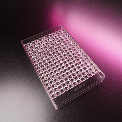 0.45mL Heart Chocolate Mold - 204 Cavities - 23816