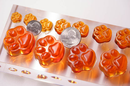 0.05 - 10mL Paw Print Sampler Candy Mold - 19 Sizes - 23423