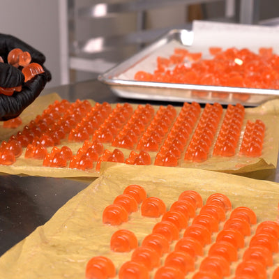 3.5mL Mushroom Candy Depositor Mold - 154 Cavities - 23169