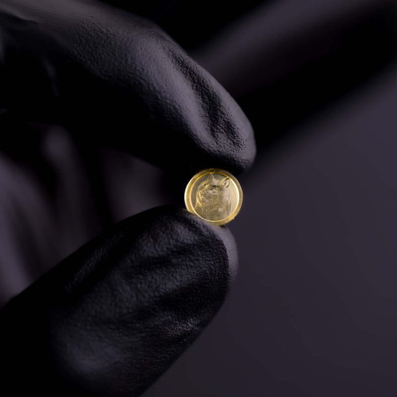 0.1mL Doge Coin Concentrate Mold - 100 Cavities - SRL4
